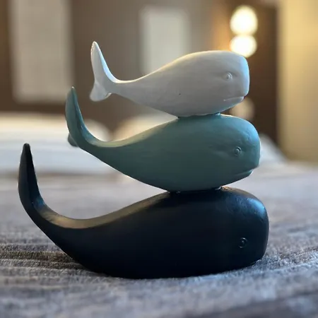 Hotell Acadie Saint Victor - Restaurant -face Mer- 2*